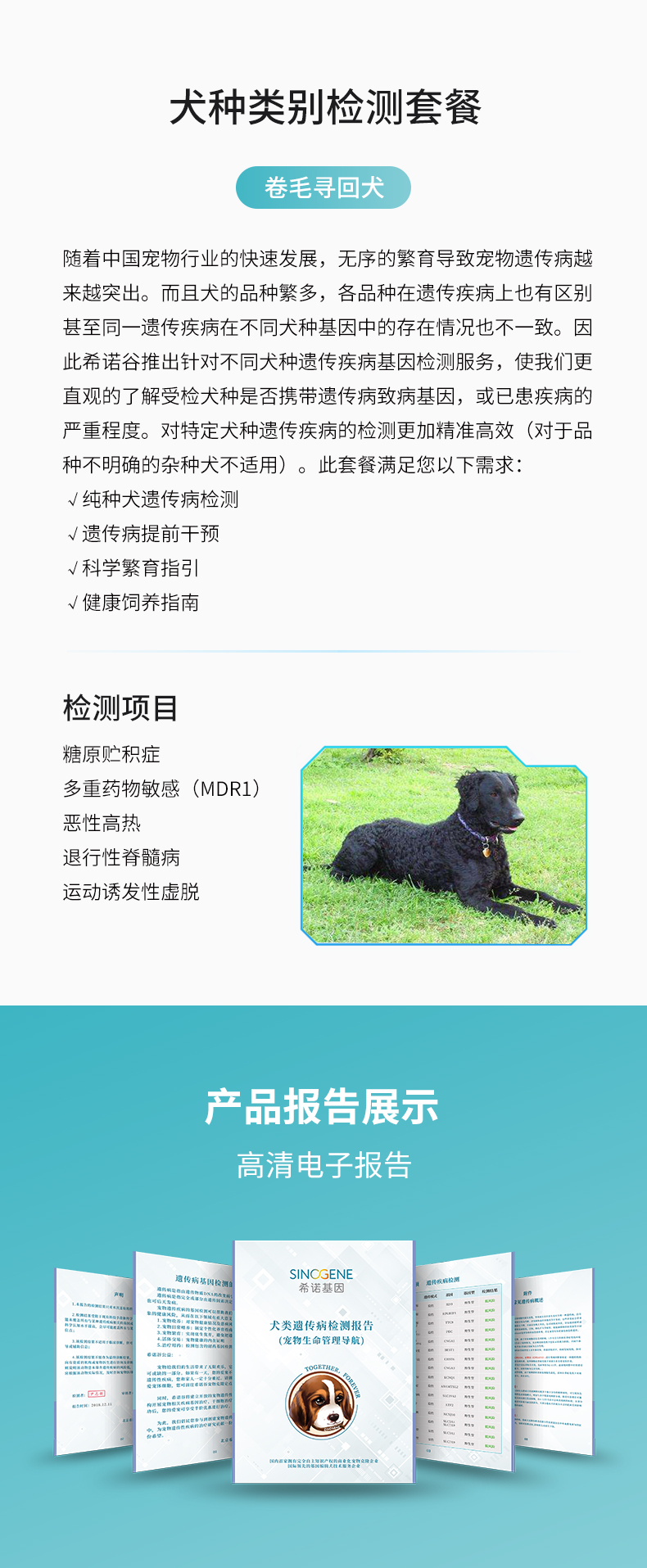 卷毛尋回犬.jpg