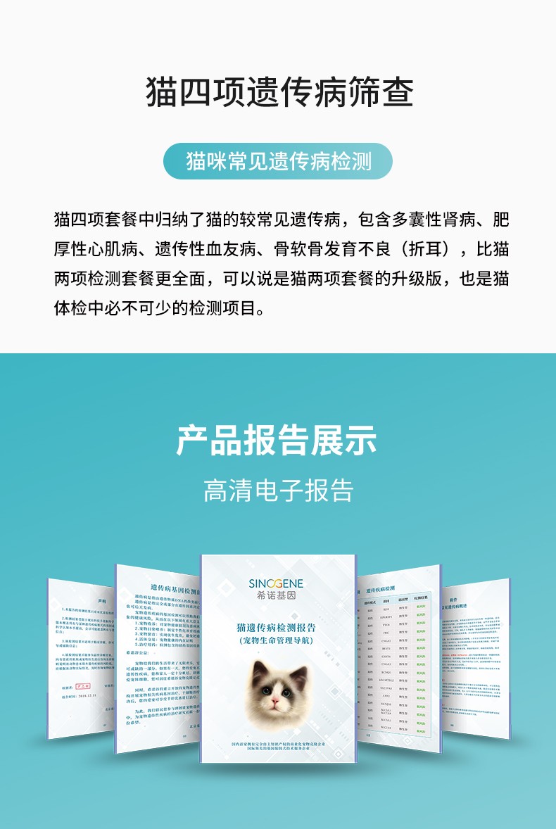 貓四項.jpg